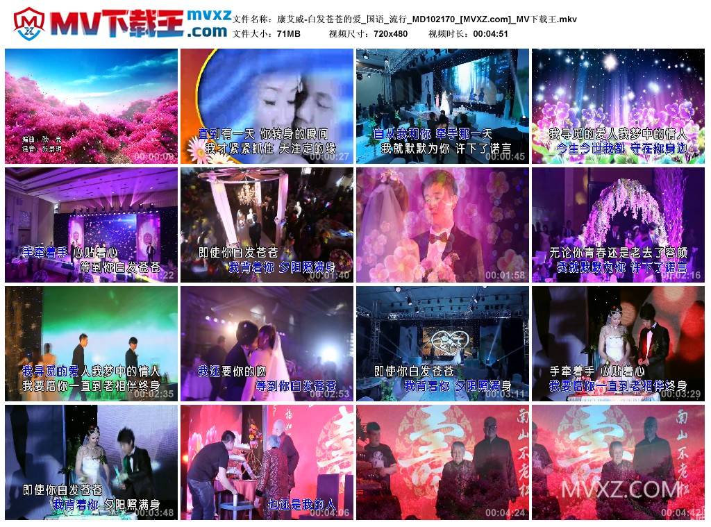 康艾威-白发苍苍的爱_国语_流行_MD102170